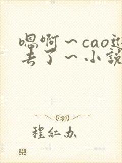 嗯啊～cao进去了～小说