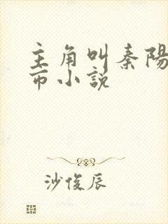 主角叫秦阳的都市小说