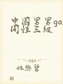 中国男男gay同性三级