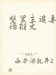 双男主追妻火葬场推文