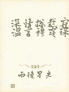 深情总裁宠不停温言穆霆琛