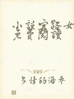 小说官路女人香免费阅读