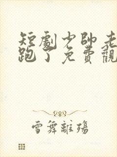 短剧少帅老婆又跑了免费观看全集封面