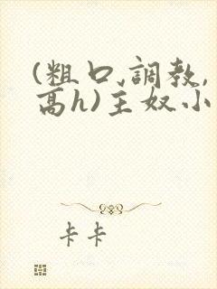 (粗口,调教,高h)主奴小说