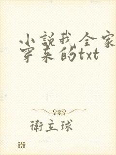 小说我全家都是穿来的txt封面