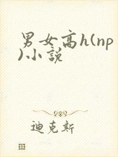 男女高h(np)小说封面