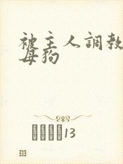 被主人调教的小母狗