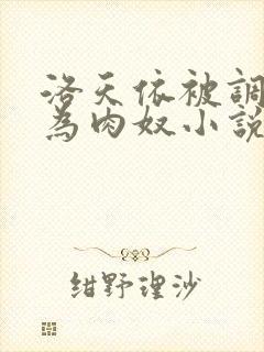 洛天依被调教沦为肉奴小说封面