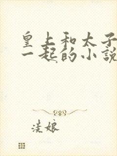皇上和太子妃在一起的小说有哪些