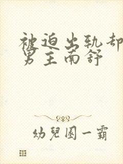 被迫出轨却上瘾男主南舒封面