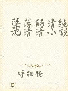 坠落的清纯校花沈清清小说