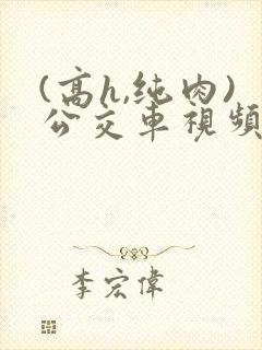 (高h,纯肉)公交车视频