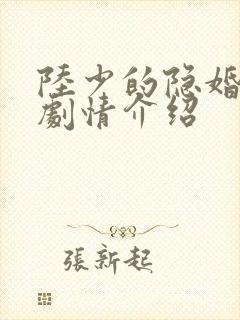 陆少的隐婚罪妻剧情介绍