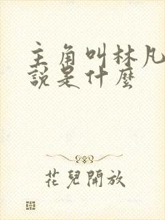 主角叫林凡的小说是什么