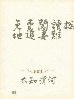 免费阅读总裁爹地追妻难