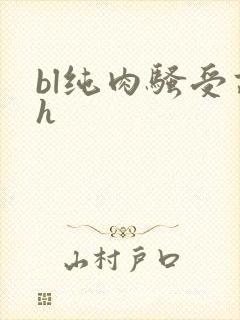 bl纯肉骚受高h