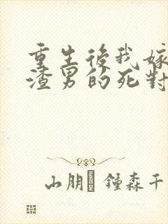 重生后我嫁给了渣男的死对头原著封面