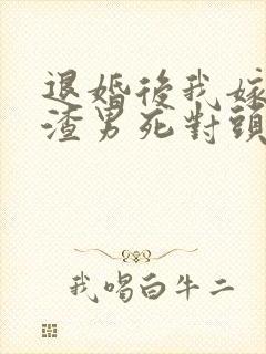 退婚后我嫁给了渣男死对头