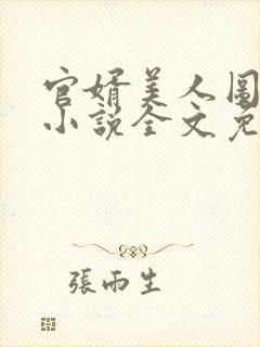 官婿美人图安江小说全文免费阅读