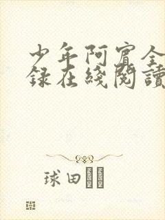 少年阿宾全文目录在线阅读