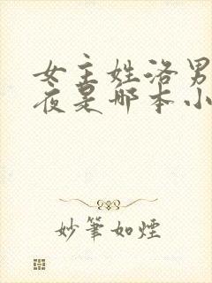 女主姓洛男主姓夜是哪本小说