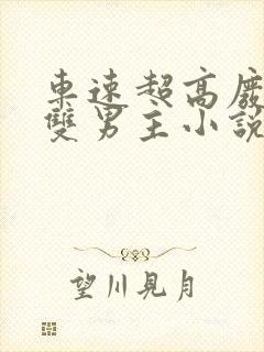 车速超高废文的双男主小说推荐免费