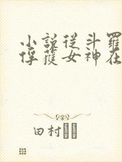 小说从斗罗开始俘获女神在线阅读