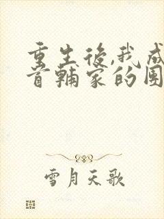 重生后,我成了首辅家的团宠小说