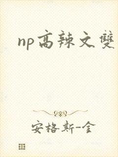 np高辣文双性