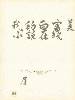 我的白富美老婆小说在线封面