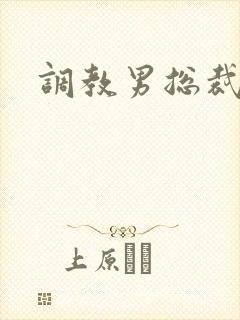 调教男总裁h封面