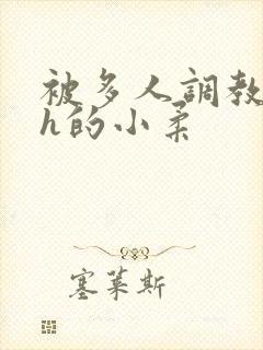 被多人调教失禁h的小柔