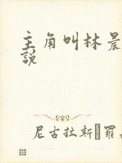 主角叫林晨的小说