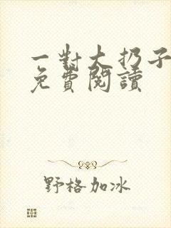 一对大扔子小说免费阅读