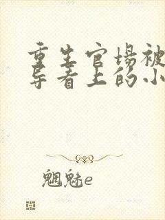 重生官场被大领导看上的小说封面