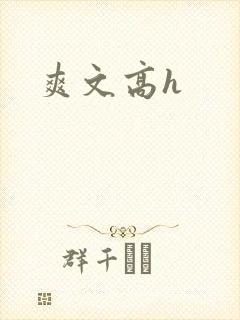 爽文高h封面