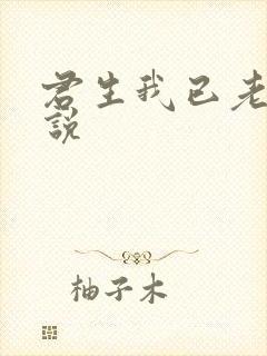 君生我已老 小说