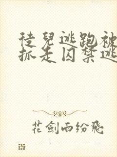 徒儿逃跑被师尊抓走囚禁逃跑的小说