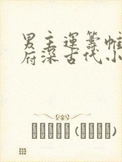 男主运筹帷幄城府深古代小说封面