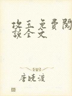 攻玉免费阅读小说全文