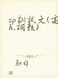 sp训诫文(高h,调教)