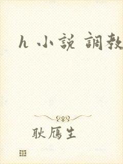 h 小说 调教