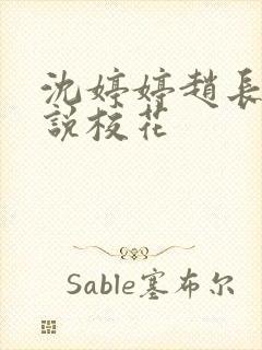 沈婷婷赵长乐小说校花