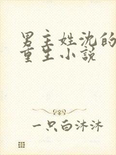 男主姓沈的所有重生小说