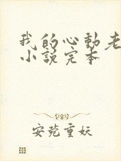 我的心动老板娘小说完本