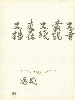 又爽又黄又无遮挡在线观看