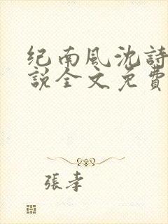 纪南风沈诗澜小说全文免费阅读封面