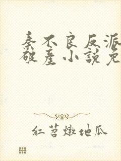 秦不良反派大佬破产小说免费阅读