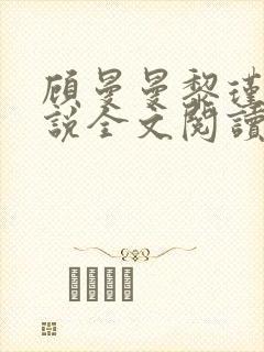 顾曼曼黎瑾泽小说全文阅读