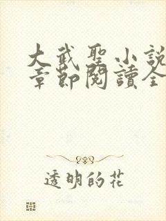 大武圣小说最新章节阅读全文